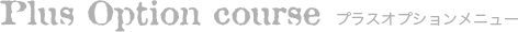 プラスオプションメニュー